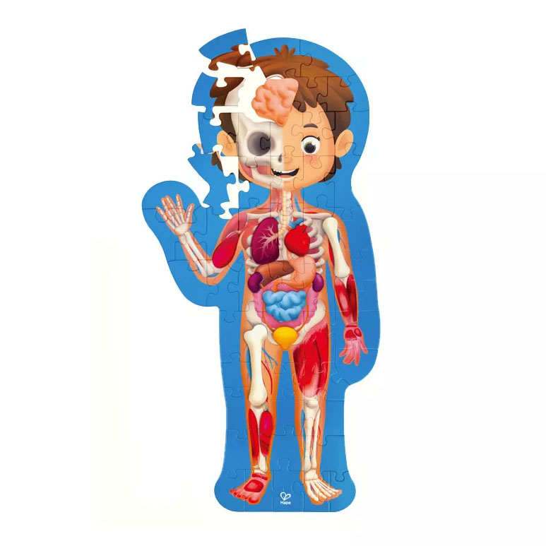 Maletín Puzzle Cuerpo Humano Hape Las Mellizas